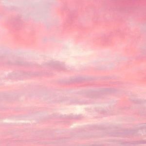 Meet your Posher, Angelica